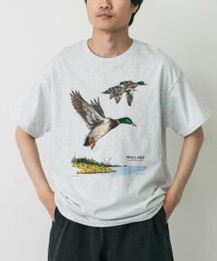 URBAN RESEARCH DOORS / アーバンリサーチ ドアーズ Tシャツ | LIBERTY GRAPHICS　Mallards