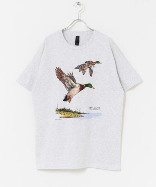 URBAN RESEARCH DOORS / アーバンリサーチ ドアーズ Tシャツ | LIBERTY GRAPHICS　Mallards | 詳細4