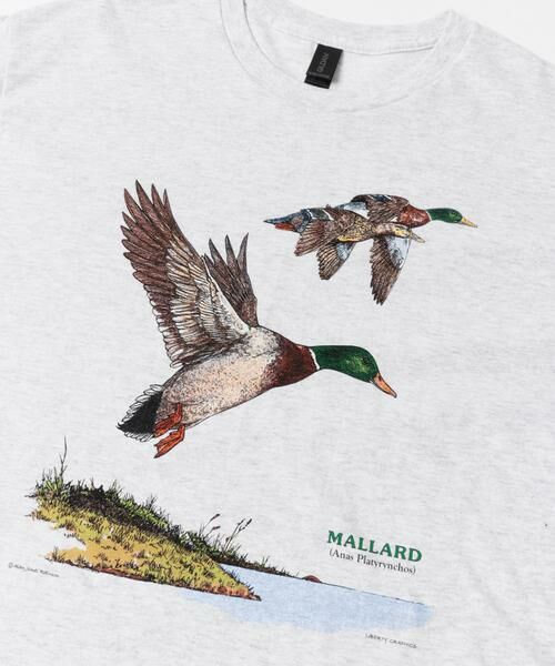 URBAN RESEARCH DOORS / アーバンリサーチ ドアーズ Tシャツ | LIBERTY GRAPHICS　Mallards | 詳細5