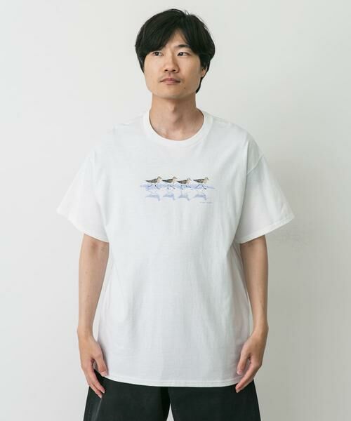 URBAN RESEARCH DOORS / アーバンリサーチ ドアーズ Tシャツ | LIBERTY GRAPHICS　Sandpipers | 詳細1