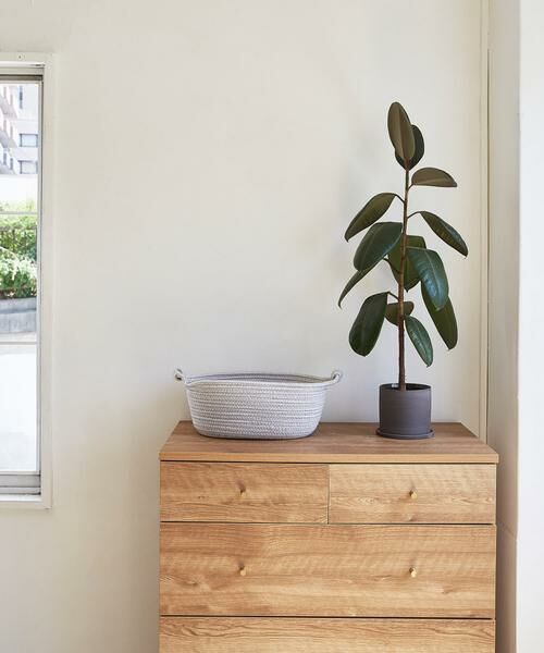 URBAN RESEARCH DOORS / アーバンリサーチ ドアーズ インテリア・インテリア雑貨 | DOORS LIVING PRODUCTS　コットンロープバスケット S | 詳細4