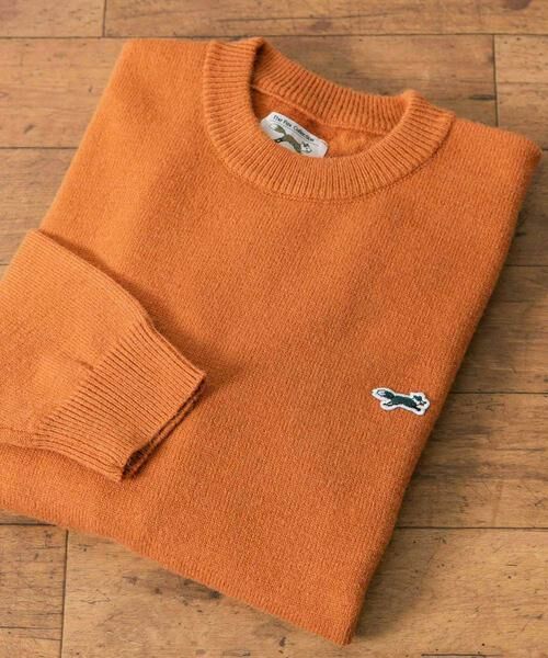 URBAN RESEARCH DOORS / アーバンリサーチ ドアーズ ニット・セーター | 『別注』『ユニセックス』PENNEYS×DOORS THE FOX クルーネックスフレニット | 詳細16