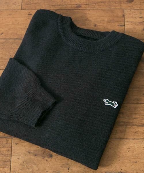 URBAN RESEARCH DOORS / アーバンリサーチ ドアーズ ニット・セーター | 『別注』『ユニセックス』PENNEYS×DOORS THE FOX クルーネックスフレニット(チャコールグレー)