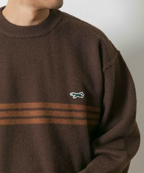 URBAN RESEARCH DOORS / アーバンリサーチ ドアーズ ニット・セーター | 『別注』PENNEYS×DOORS　THE FOX ボーダーCNニット | 詳細5