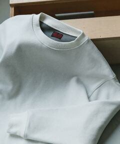 URBAN RESEARCH DOORS / アーバンリサーチ ドアーズ スウェット | CRITTER　MOUNTAIN スウェット