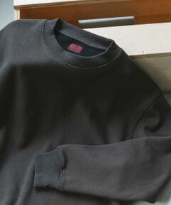 URBAN RESEARCH DOORS / アーバンリサーチ ドアーズ スウェット | CRITTER　MOUNTAIN スウェット