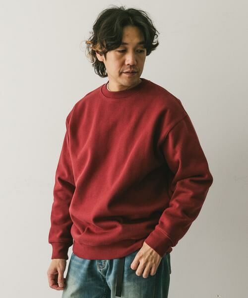 URBAN RESEARCH DOORS / アーバンリサーチ ドアーズ スウェット | CRITTER MOUNTAIN スウェット | 詳細1