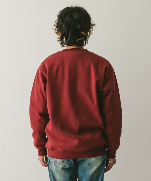 URBAN RESEARCH DOORS / アーバンリサーチ ドアーズ スウェット | CRITTER MOUNTAIN スウェット | 詳細10