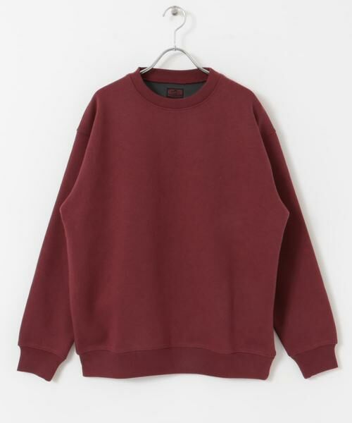 URBAN RESEARCH DOORS / アーバンリサーチ ドアーズ スウェット | CRITTER MOUNTAIN スウェット | 詳細13