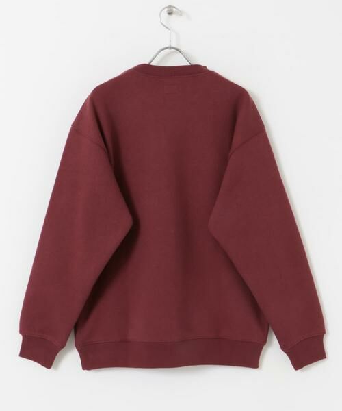 URBAN RESEARCH DOORS / アーバンリサーチ ドアーズ スウェット | CRITTER MOUNTAIN スウェット | 詳細14