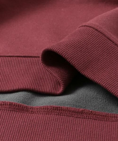 URBAN RESEARCH DOORS / アーバンリサーチ ドアーズ スウェット | CRITTER MOUNTAIN スウェット | 詳細15