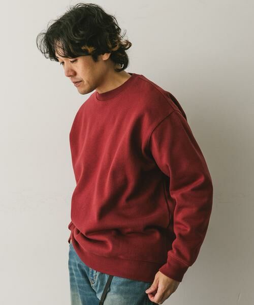 URBAN RESEARCH DOORS / アーバンリサーチ ドアーズ スウェット | CRITTER MOUNTAIN スウェット | 詳細2