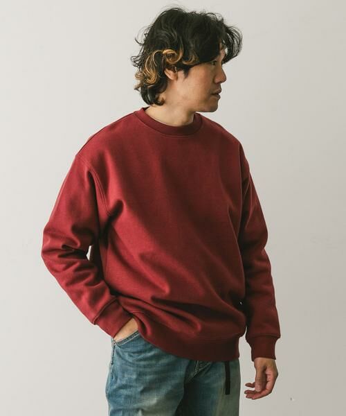 URBAN RESEARCH DOORS / アーバンリサーチ ドアーズ スウェット | CRITTER MOUNTAIN スウェット | 詳細3