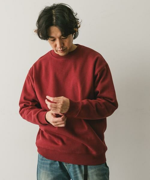 URBAN RESEARCH DOORS / アーバンリサーチ ドアーズ スウェット | CRITTER MOUNTAIN スウェット | 詳細4