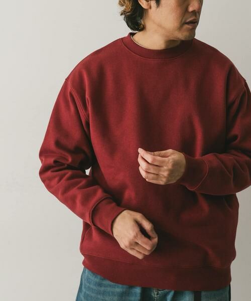 URBAN RESEARCH DOORS / アーバンリサーチ ドアーズ スウェット | CRITTER MOUNTAIN スウェット | 詳細5