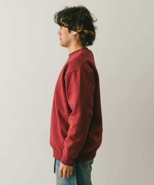 URBAN RESEARCH DOORS / アーバンリサーチ ドアーズ スウェット | CRITTER MOUNTAIN スウェット | 詳細9