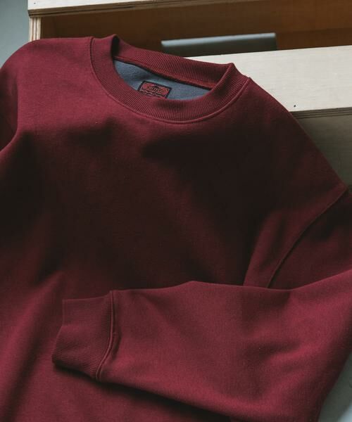 URBAN RESEARCH DOORS / アーバンリサーチ ドアーズ スウェット | CRITTER MOUNTAIN スウェット(バーガンディー)