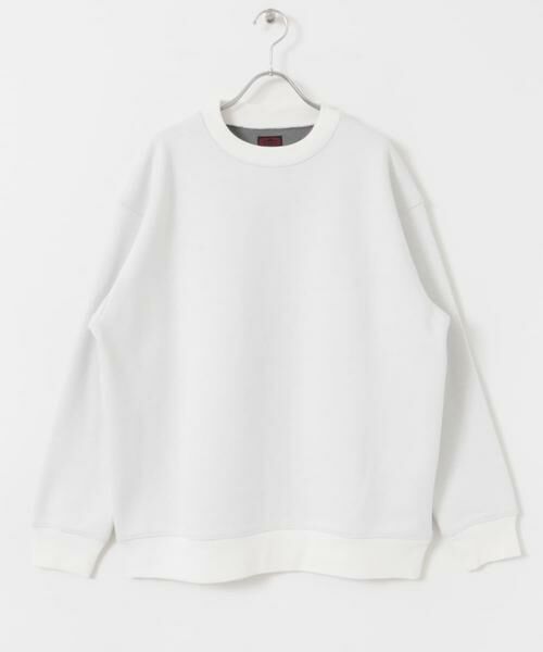 URBAN RESEARCH DOORS / アーバンリサーチ ドアーズ スウェット | CRITTER MOUNTAIN スウェット | 詳細27