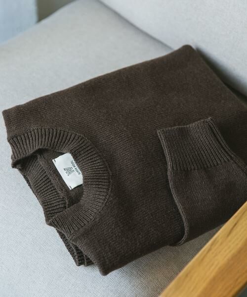 URBAN RESEARCH DOORS / アーバンリサーチ ドアーズ ニット・セーター | 『XLサイズ/WEB限定』チュニジアウール クルーネック ニット(ブラウン)