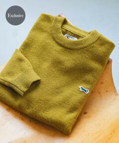 URBAN RESEARCH DOORS / アーバンリサーチ ドアーズ ニット・セーター | 『XLサイズWEB限定』『別注』PENNEYS×DOORS　THE FOX クルーネックスフレニット