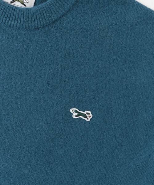 URBAN RESEARCH DOORS / アーバンリサーチ ドアーズ ニット・セーター | 『XLサイズWEB限定』『別注』PENNEYS×DOORS　THE FOX クルーネックスフレニット | 詳細23