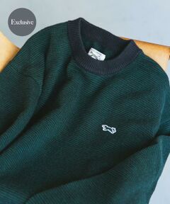 URBAN RESEARCH DOORS / アーバンリサーチ ドアーズ ニット・セーター | 『別注』PENNEYS×DOORS　THE FOX ピンボーダークルーネックニット