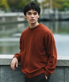 URBAN RESEARCH DOORS / アーバンリサーチ ドアーズ ニット・セーター | 『XLサイズ/WEB限定』ハミルトンウールクルーネックニット