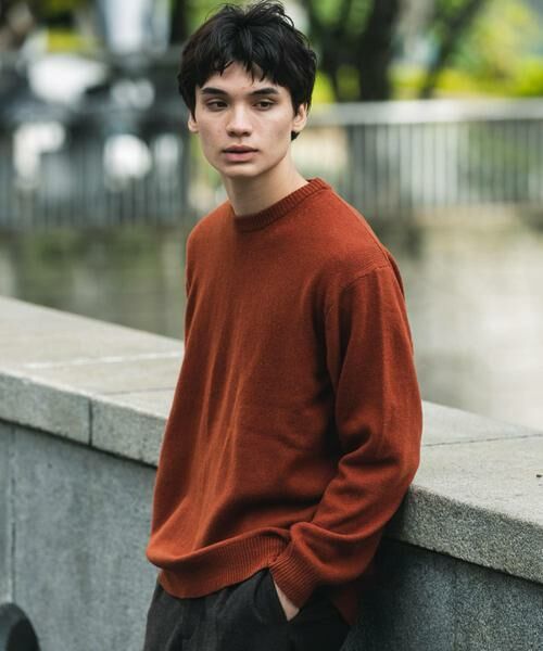 URBAN RESEARCH DOORS / アーバンリサーチ ドアーズ ニット・セーター | 『XLサイズ/WEB限定』ハミルトンウールクルーネックニット | 詳細1