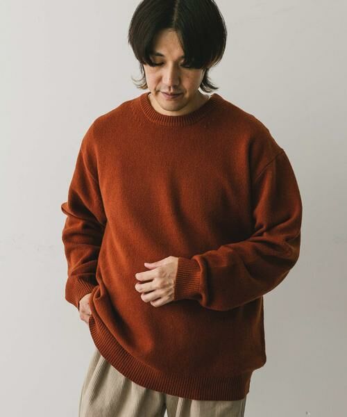 URBAN RESEARCH DOORS / アーバンリサーチ ドアーズ ニット・セーター | 『XLサイズ/WEB限定』ハミルトンウールクルーネックニット | 詳細10