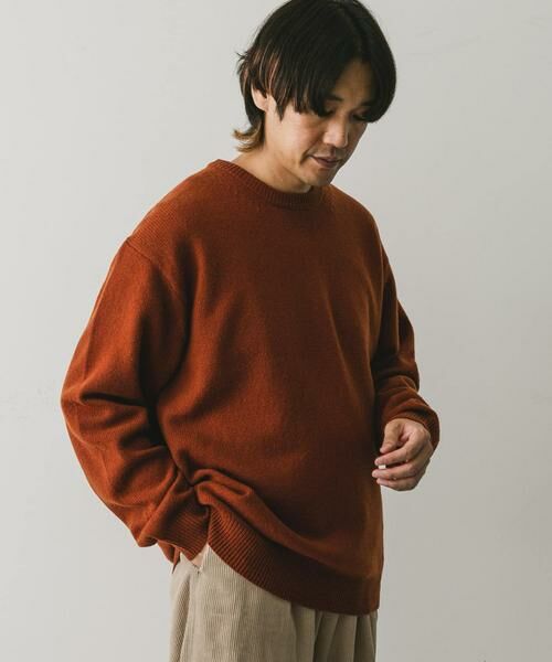 URBAN RESEARCH DOORS / アーバンリサーチ ドアーズ ニット・セーター | 『XLサイズ/WEB限定』ハミルトンウールクルーネックニット | 詳細11