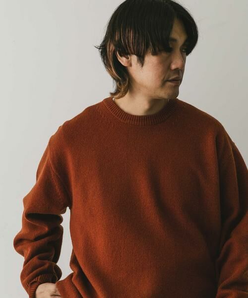 URBAN RESEARCH DOORS / アーバンリサーチ ドアーズ ニット・セーター | 『XLサイズ/WEB限定』ハミルトンウールクルーネックニット | 詳細12