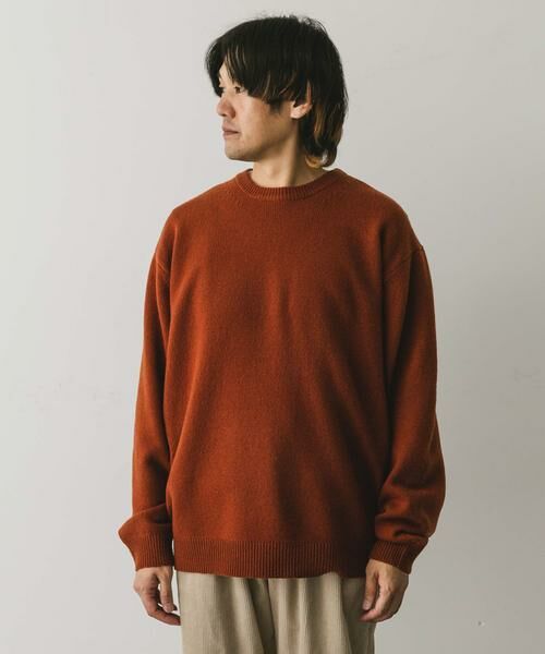 URBAN RESEARCH DOORS / アーバンリサーチ ドアーズ ニット・セーター | 『XLサイズ/WEB限定』ハミルトンウールクルーネックニット | 詳細17