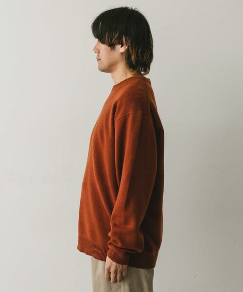 URBAN RESEARCH DOORS / アーバンリサーチ ドアーズ ニット・セーター | 『XLサイズ/WEB限定』ハミルトンウールクルーネックニット | 詳細18