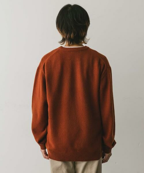 URBAN RESEARCH DOORS / アーバンリサーチ ドアーズ ニット・セーター | 『XLサイズ/WEB限定』ハミルトンウールクルーネックニット | 詳細19