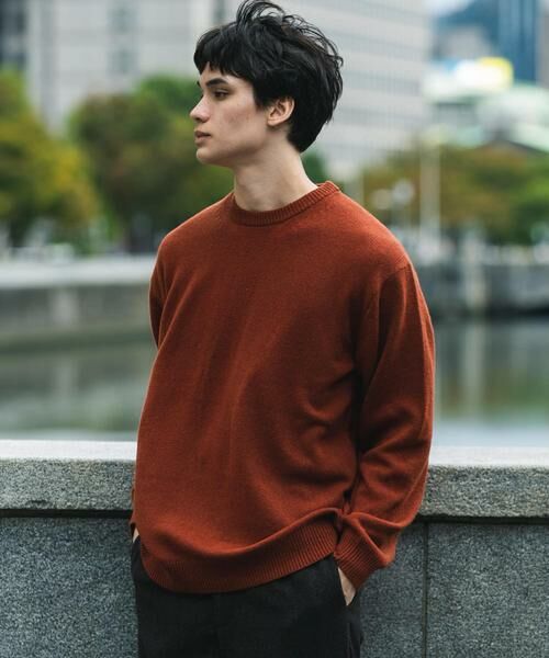 URBAN RESEARCH DOORS / アーバンリサーチ ドアーズ ニット・セーター | 『XLサイズ/WEB限定』ハミルトンウールクルーネックニット | 詳細2