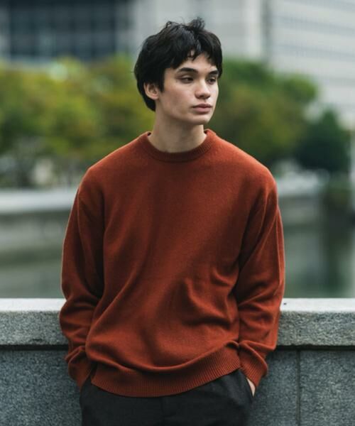 URBAN RESEARCH DOORS / アーバンリサーチ ドアーズ ニット・セーター | 『XLサイズ/WEB限定』ハミルトンウールクルーネックニット | 詳細3