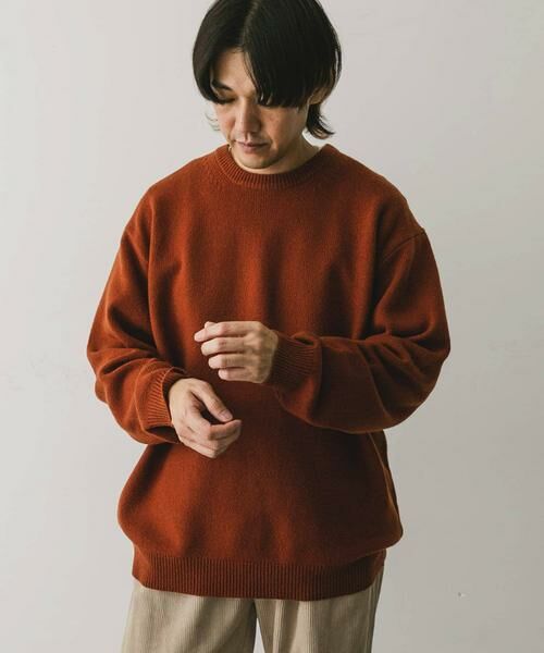 URBAN RESEARCH DOORS / アーバンリサーチ ドアーズ ニット・セーター | 『XLサイズ/WEB限定』ハミルトンウールクルーネックニット | 詳細6