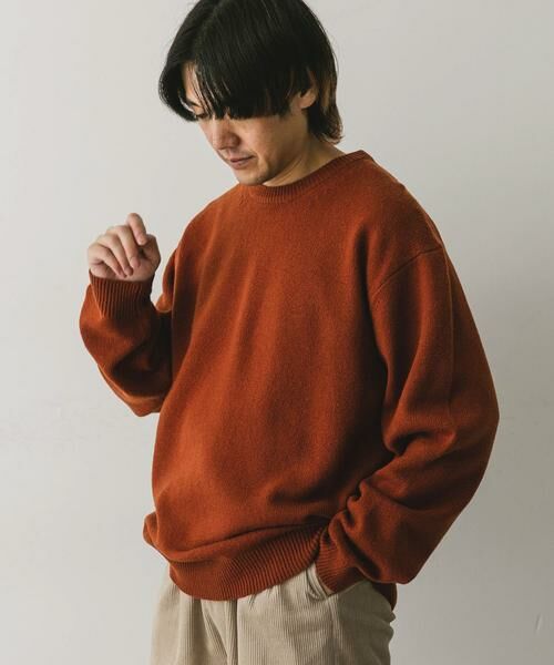URBAN RESEARCH DOORS / アーバンリサーチ ドアーズ ニット・セーター | 『XLサイズ/WEB限定』ハミルトンウールクルーネックニット | 詳細8