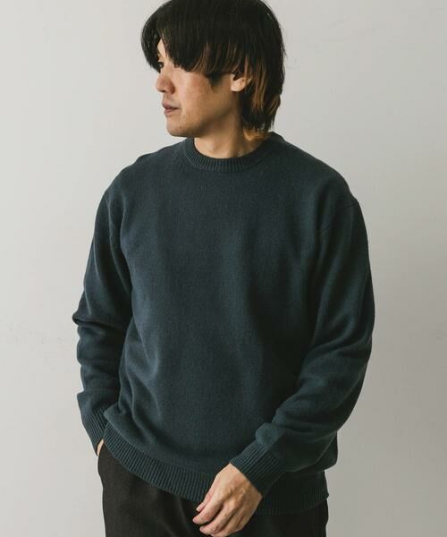 URBAN RESEARCH DOORS / アーバンリサーチ ドアーズ ニット・セーター | 『XLサイズ/WEB限定』ハミルトンウールクルーネックニット | 詳細24