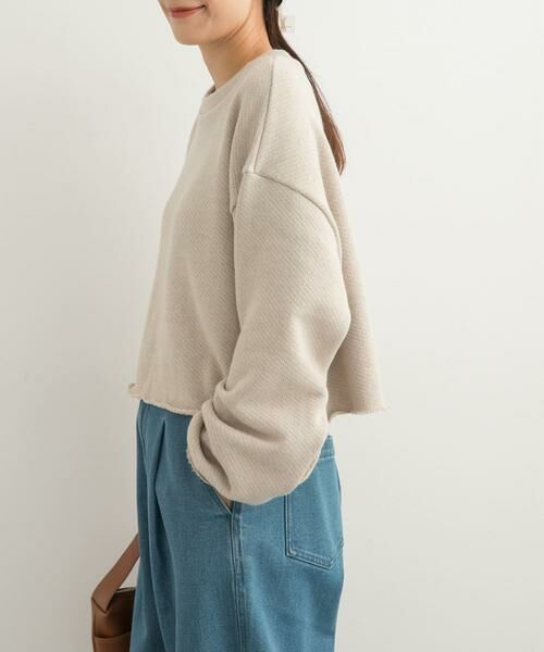 URBAN RESEARCH DOORS / アーバンリサーチ ドアーズ Tシャツ | ローゲージインレイプルオーバー | 詳細17