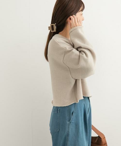 URBAN RESEARCH DOORS / アーバンリサーチ ドアーズ Tシャツ | ローゲージインレイプルオーバー | 詳細20