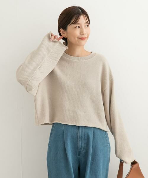 URBAN RESEARCH DOORS / アーバンリサーチ ドアーズ Tシャツ | ローゲージインレイプルオーバー | 詳細22