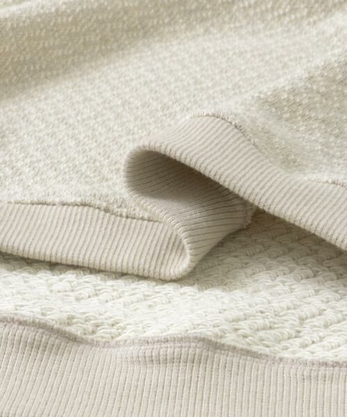 URBAN RESEARCH DOORS / アーバンリサーチ ドアーズ スウェット | ラフィージグザグインレイプルオーバー | 詳細27
