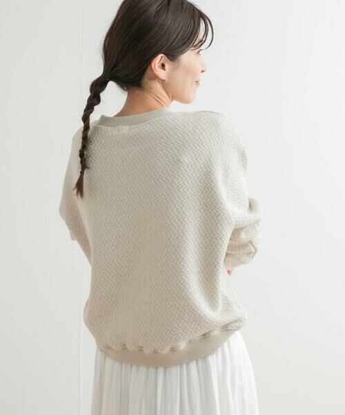 URBAN RESEARCH DOORS / アーバンリサーチ ドアーズ スウェット | ラフィージグザグインレイプルオーバー | 詳細19