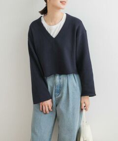 URBAN RESEARCH DOORS / アーバンリサーチ ドアーズ Tシャツ | ミドルインレイVネックプルオーバー