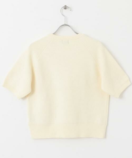 URBAN RESEARCH DOORS / アーバンリサーチ ドアーズ ニット・セーター | ラメドット刺繍ニット | 詳細22