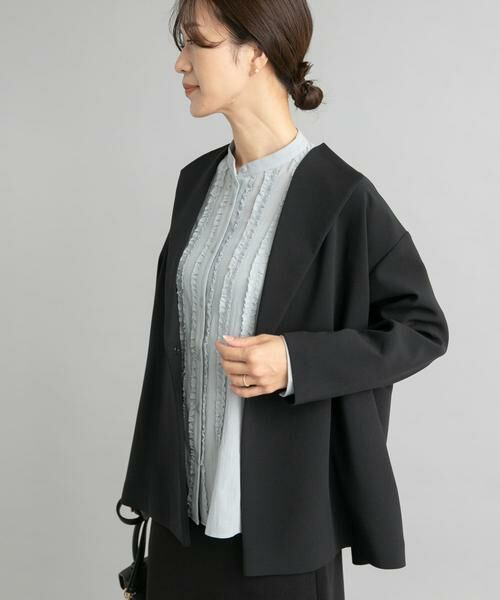 URBAN RESEARCH DOORS / アーバンリサーチ ドアーズ シャツ・ブラウス | フロントフリルスタンドカラーブラウス | 詳細4