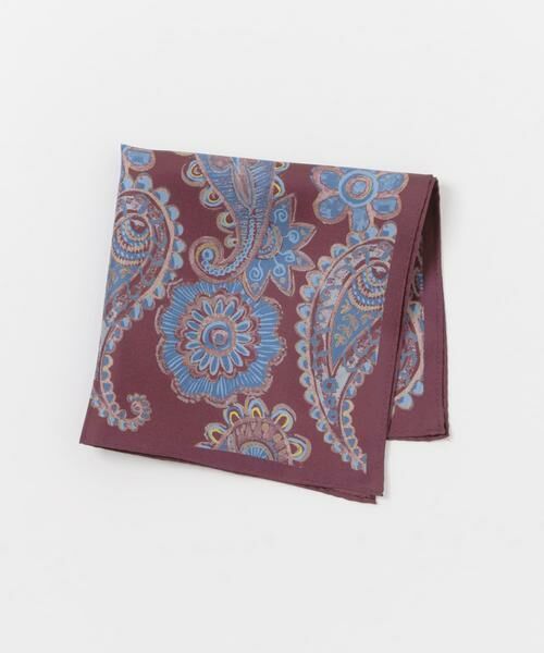 URBAN RESEARCH DOORS / アーバンリサーチ ドアーズ ハンカチ | LIFE STYLE TAILOR　シルクプリントチーフ1 | 詳細1