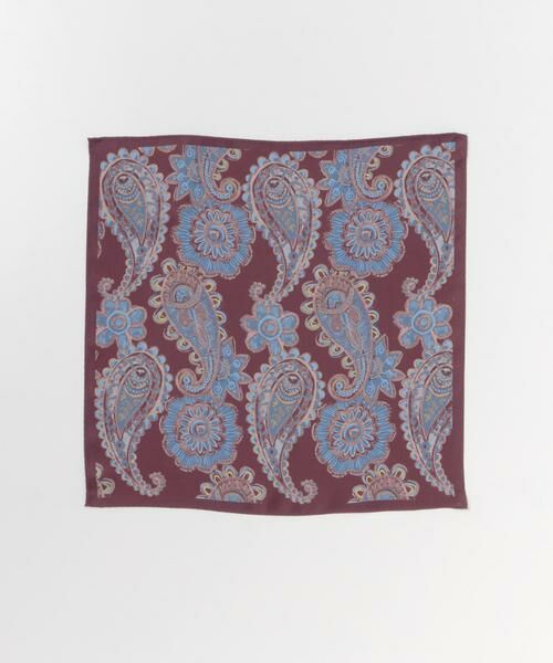 URBAN RESEARCH DOORS / アーバンリサーチ ドアーズ ハンカチ | LIFE STYLE TAILOR　シルクプリントチーフ1 | 詳細2