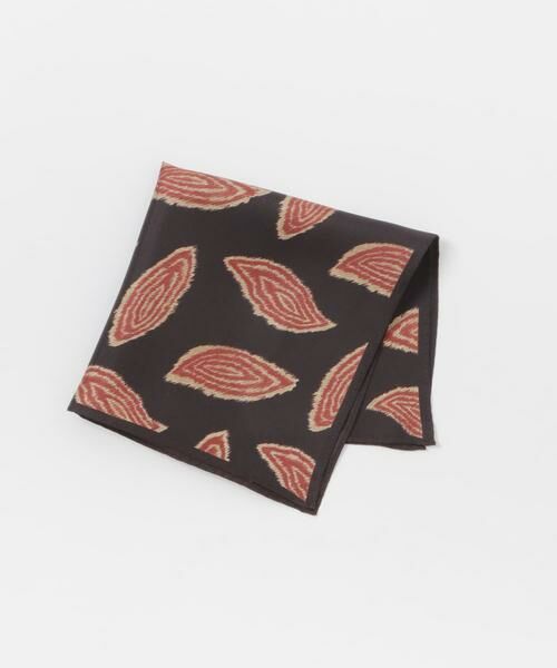 URBAN RESEARCH DOORS / アーバンリサーチ ドアーズ ハンカチ | LIFE STYLE TAILOR　シルクプリントチーフ2 | 詳細1